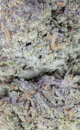 Tangerine Trouble | 24% THCA