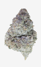 Tangerine Trouble | 24% THCA