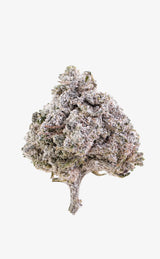 Frosted Papaya | 22% THCA