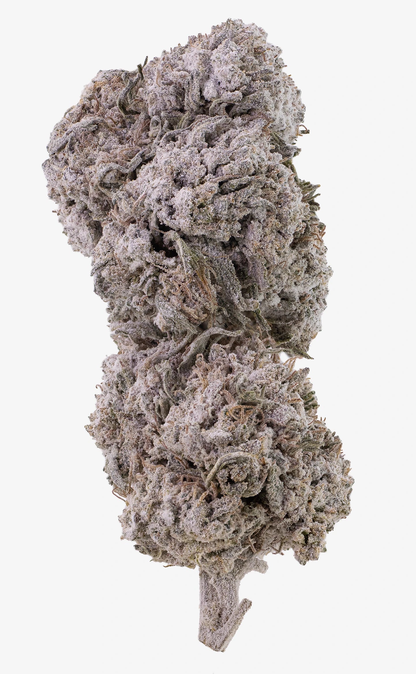 Frosted Diesel | 25% THCA