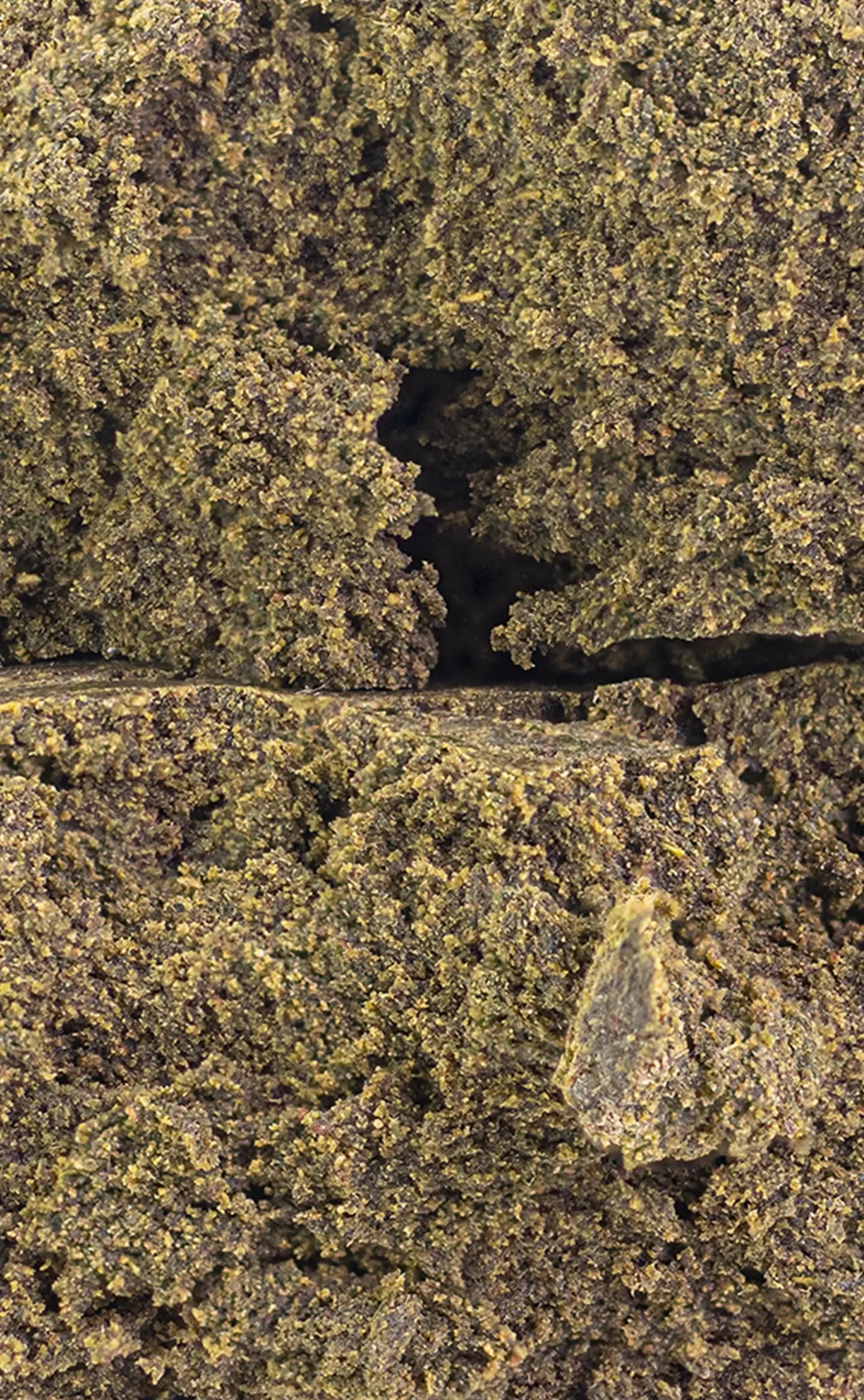 The Dutchman | Manala | 40% THCA