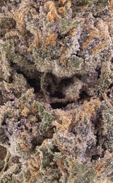 Herbz rotterdam runtz thca bud cannabis closeup macro trichomes