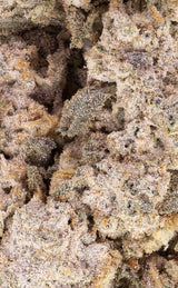 Dutch Bloom | 25 % THCA