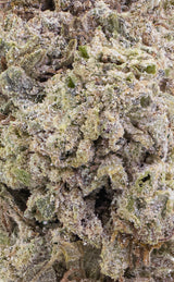 Lemon Haze | 23% THCA