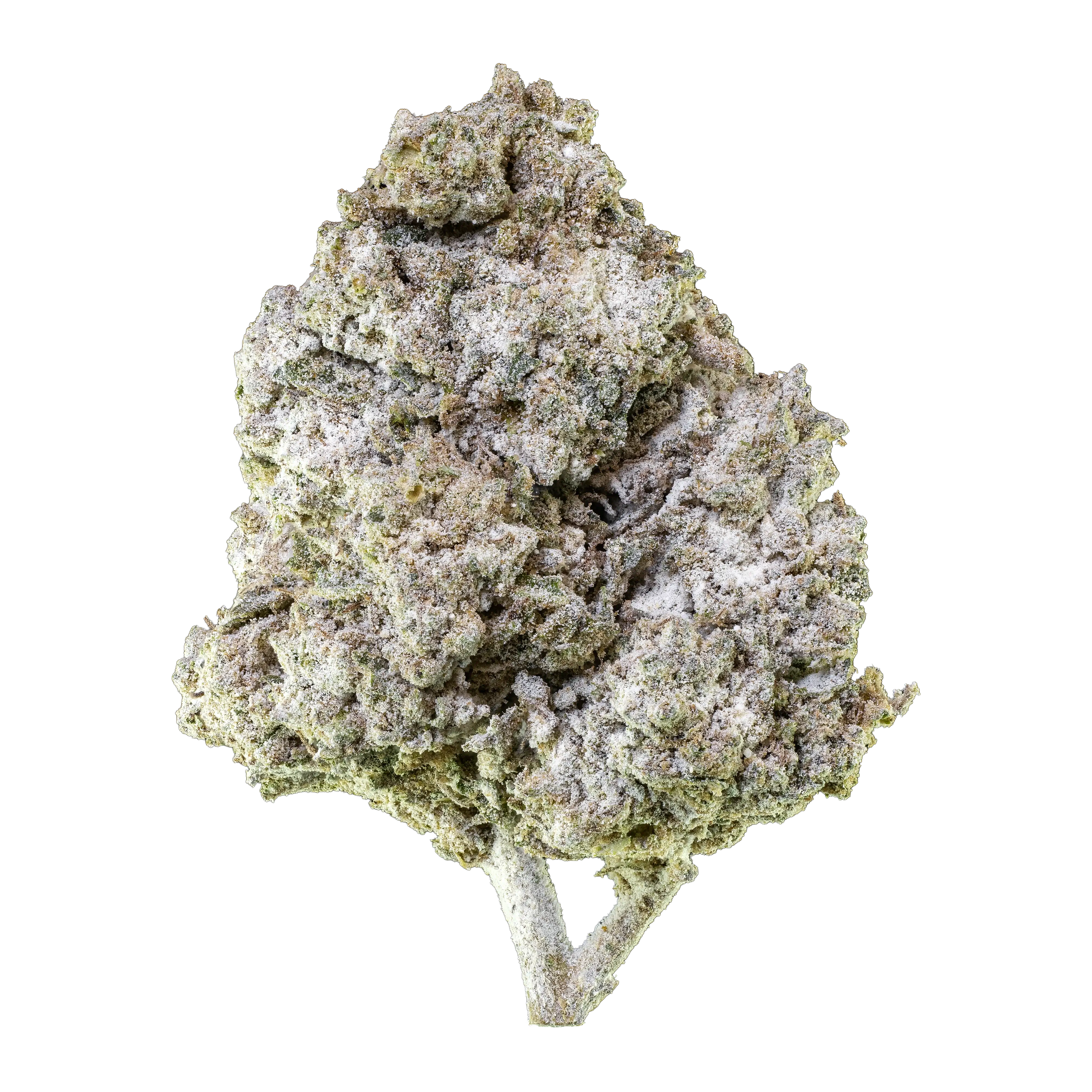 Thai Haze