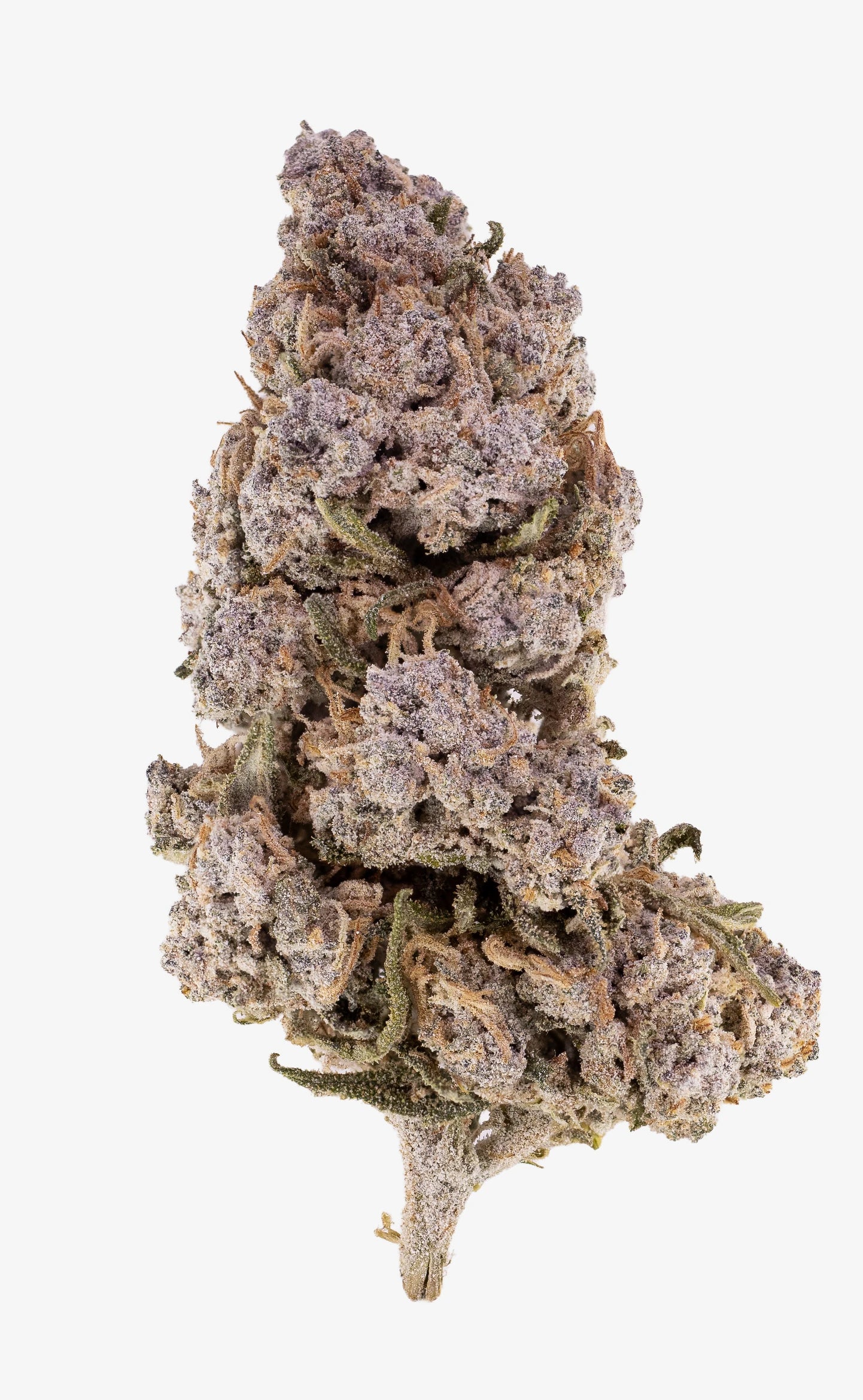 Valhalla Haze | 22% THCA