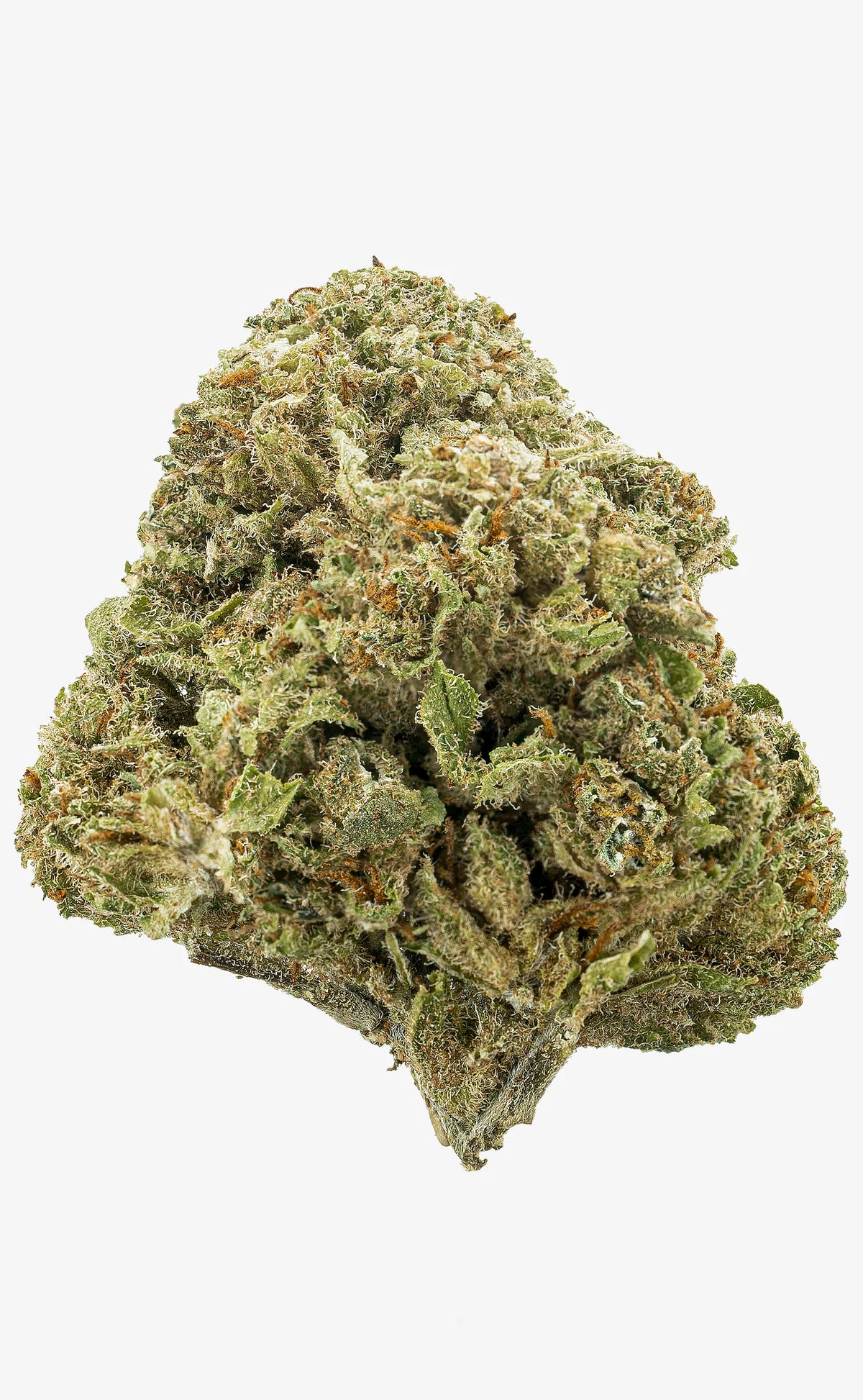 Zkittlez | 16% CBD - herbz.dk herbz.dk 1 g CBD vrcholové pupeny - legální konopí