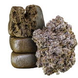 Bubble Hash + Bubblegum