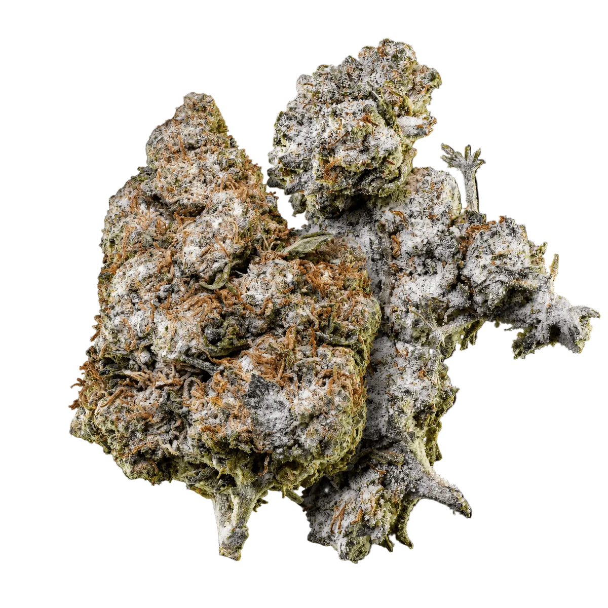 10g O.G. Zkittles 24% THCA und 10g Orange Tangie Smalls 22% THCA vereint in einem Herbz-Bundle