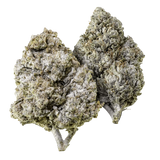 10g Thai Haze 23% THCA og 10g Amnesia Haze 23% THCA samlet i Herbz bundle