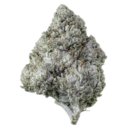 Herbz Amnesia Haze 10g emballage med lilla og grønt design