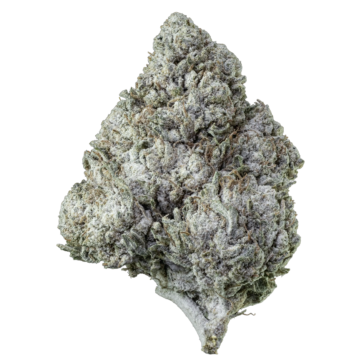 Herbz Amnesia Haze 10g emballage med lilla og grønt design